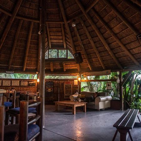 Fairy Knowe Backpackers Lodge Wildernis Exterior foto