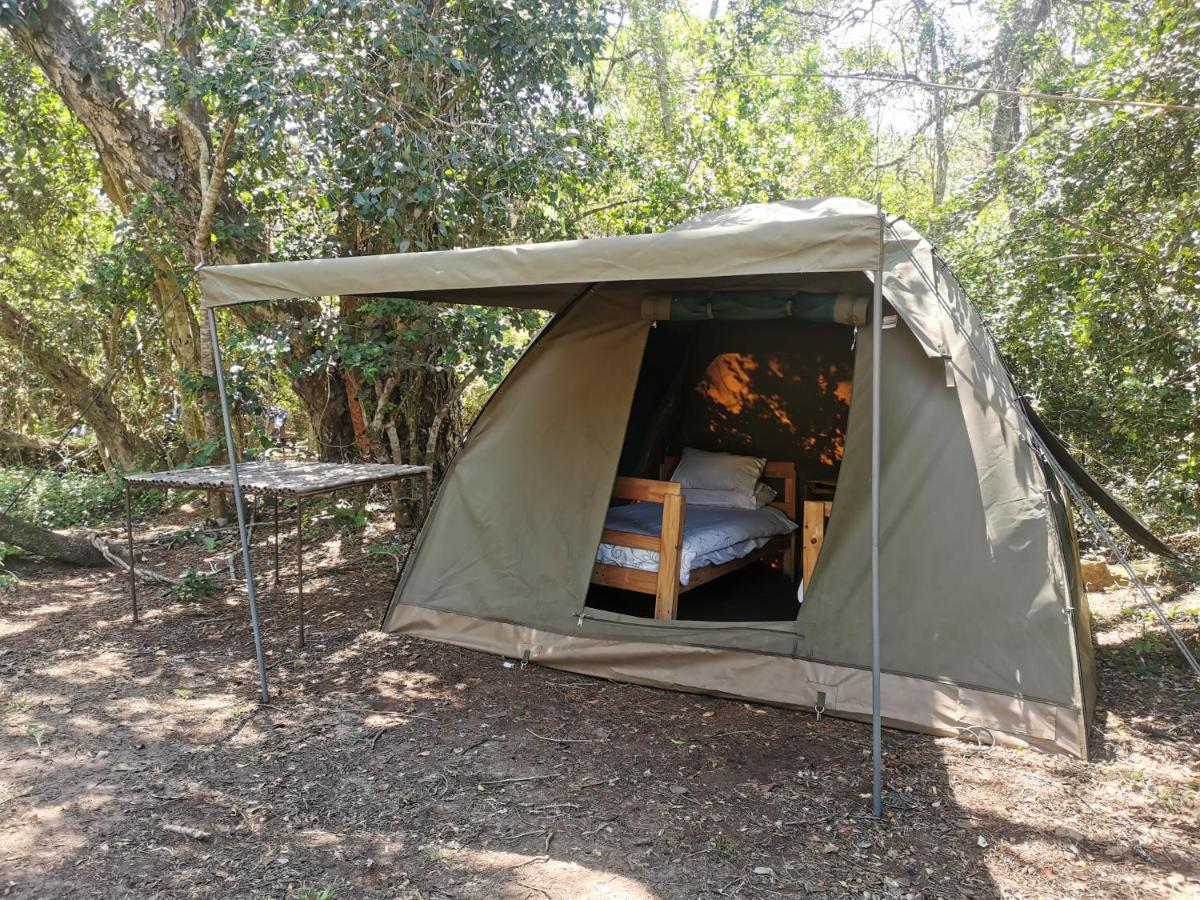 Fairy Knowe Backpackers Lodge Wildernis Exterior foto