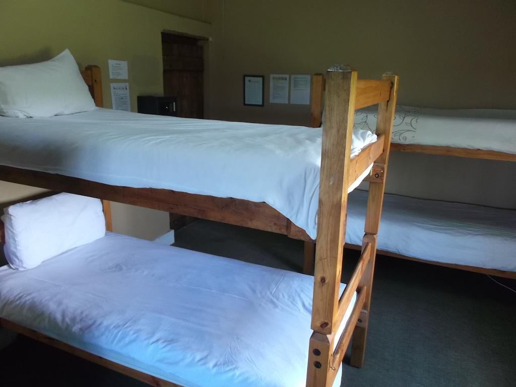 Fairy Knowe Backpackers Lodge Wildernis Quarto foto