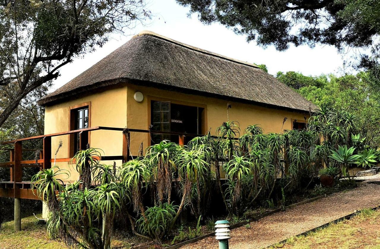 Fairy Knowe Backpackers Lodge Wildernis Exterior foto